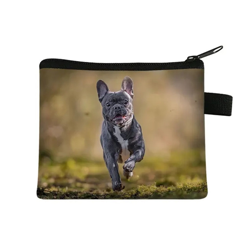 Cute Floral Bulldog Print Coin - огляд і ціна Men Fashion Kids