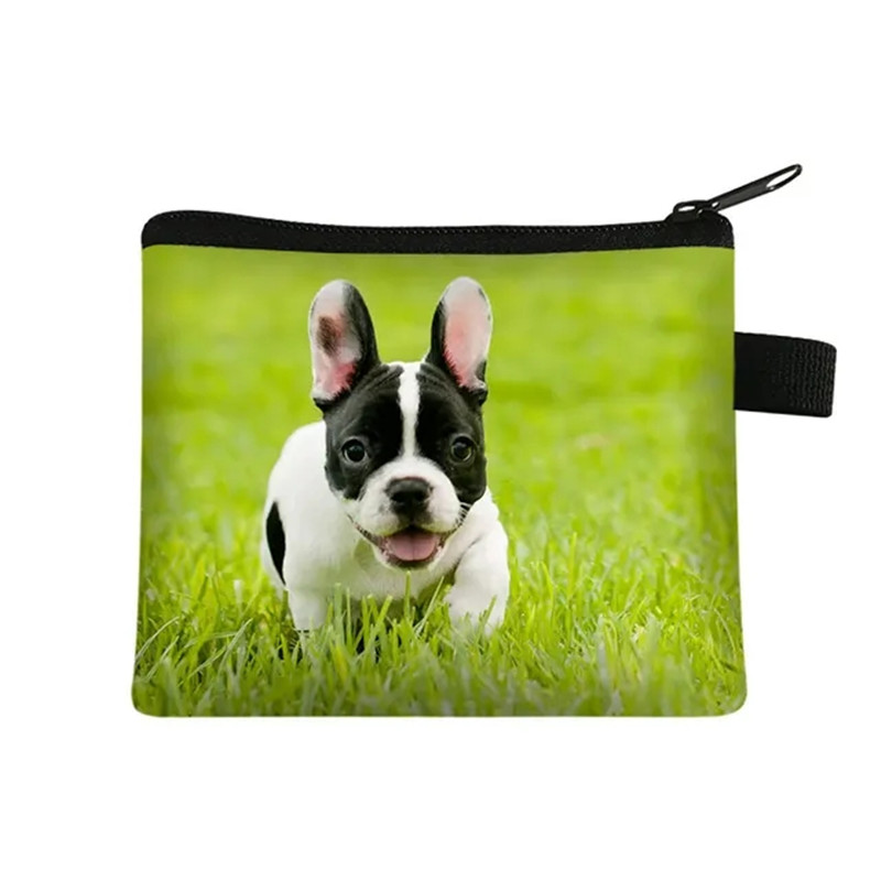 Cute Floral Bulldog Print Coin - огляд і ціна Men Fashion Kids