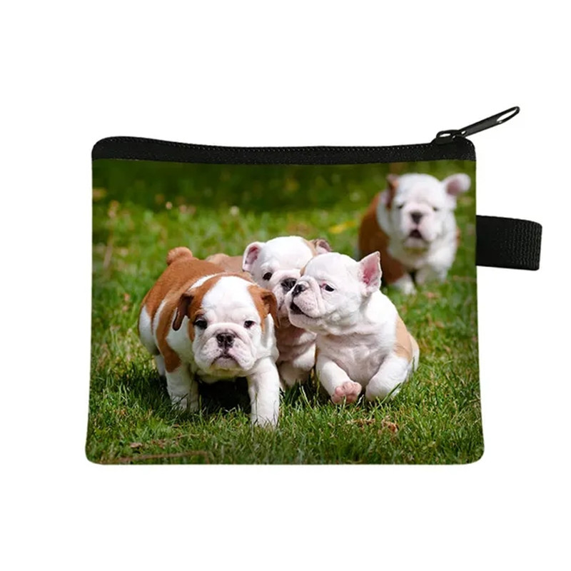 Cute Floral Bulldog Print Coin - огляд і ціна Men Fashion Kids